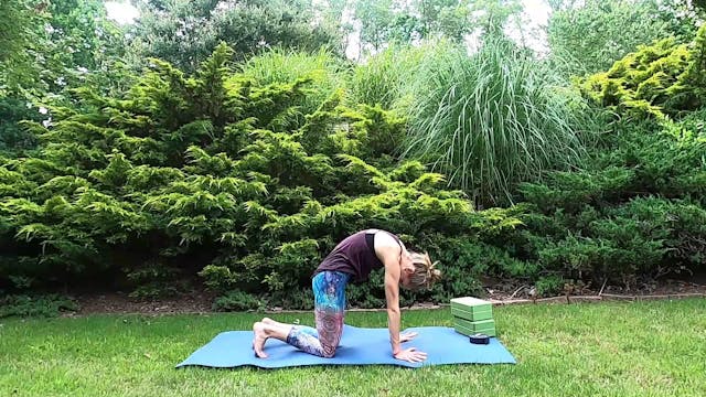 All Levels Challenge Day 6