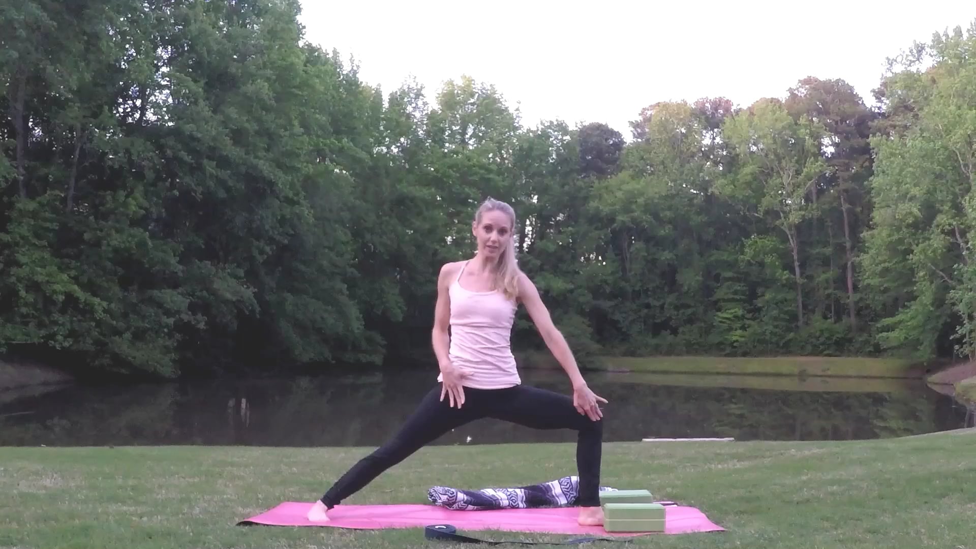 Beginner Challenge Day 4