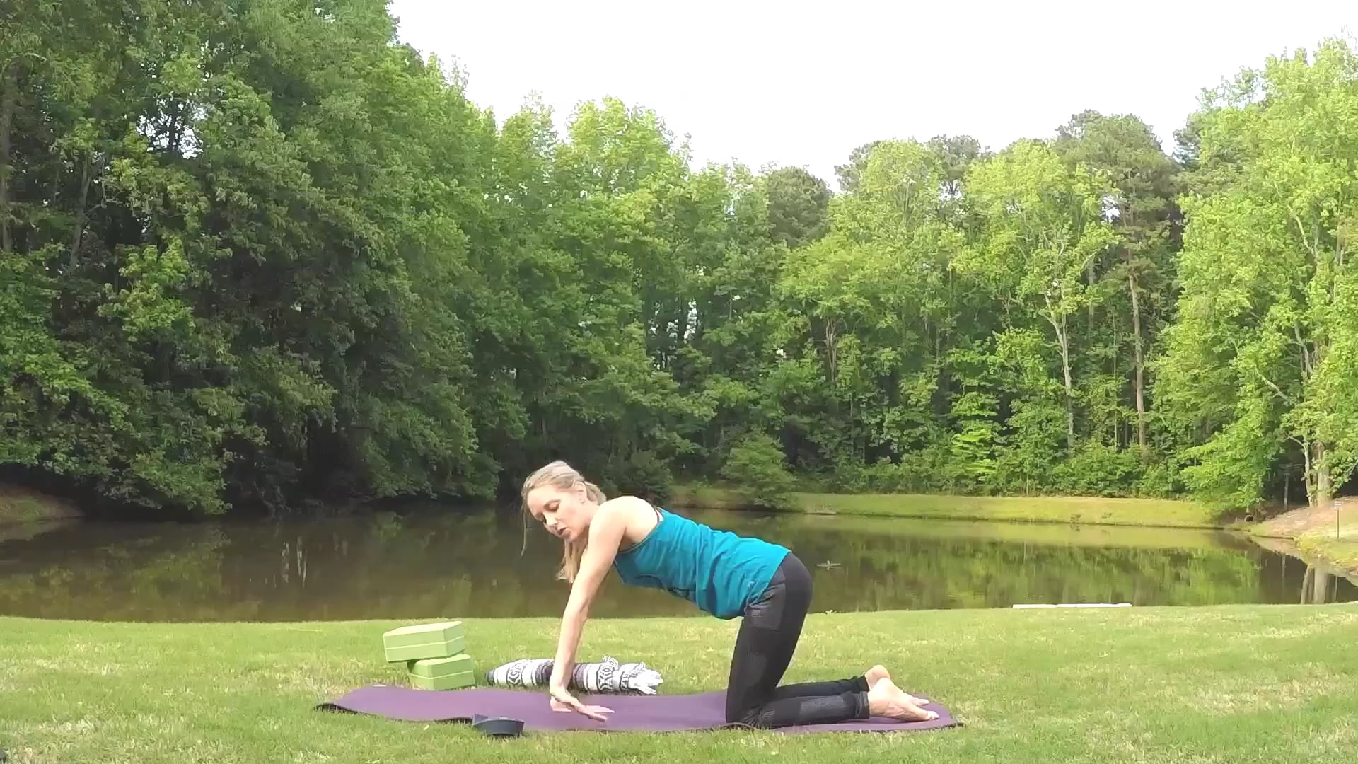 Beginner Challenge Day 7