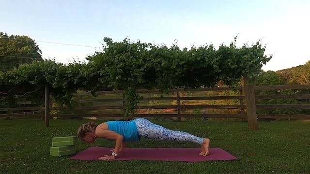 All Levels Challenge Day 4