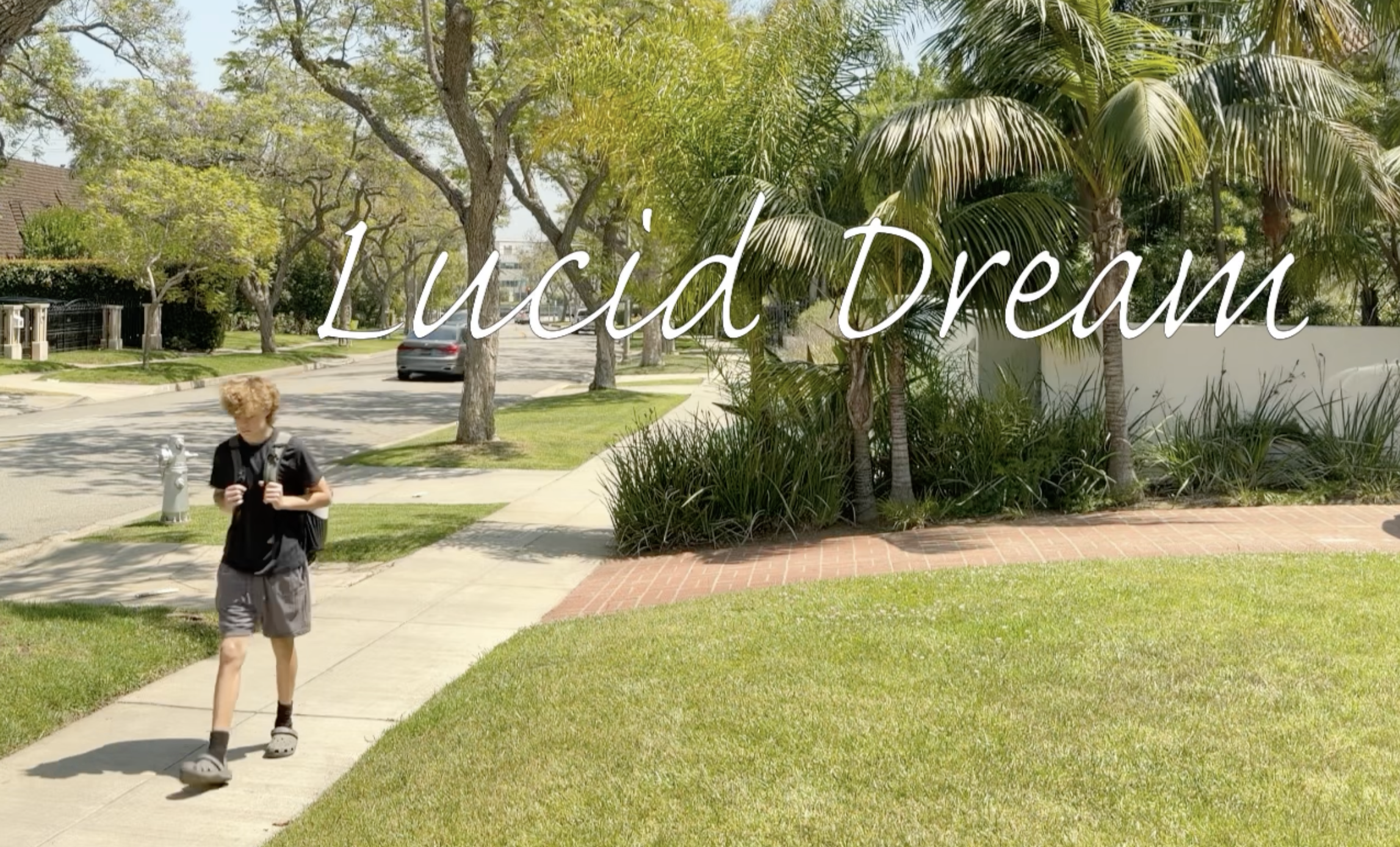 LUCID DREAM