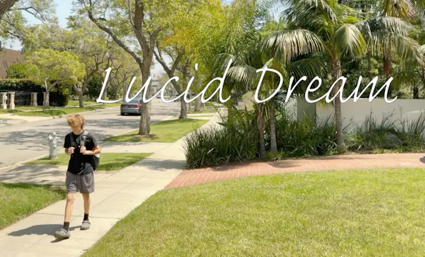 LUCID DREAM