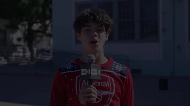 2025 Albion Street Holiday Celebratio...