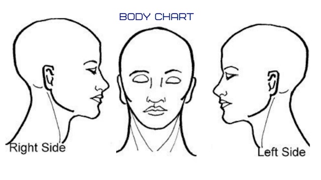 Face Chart - PDF