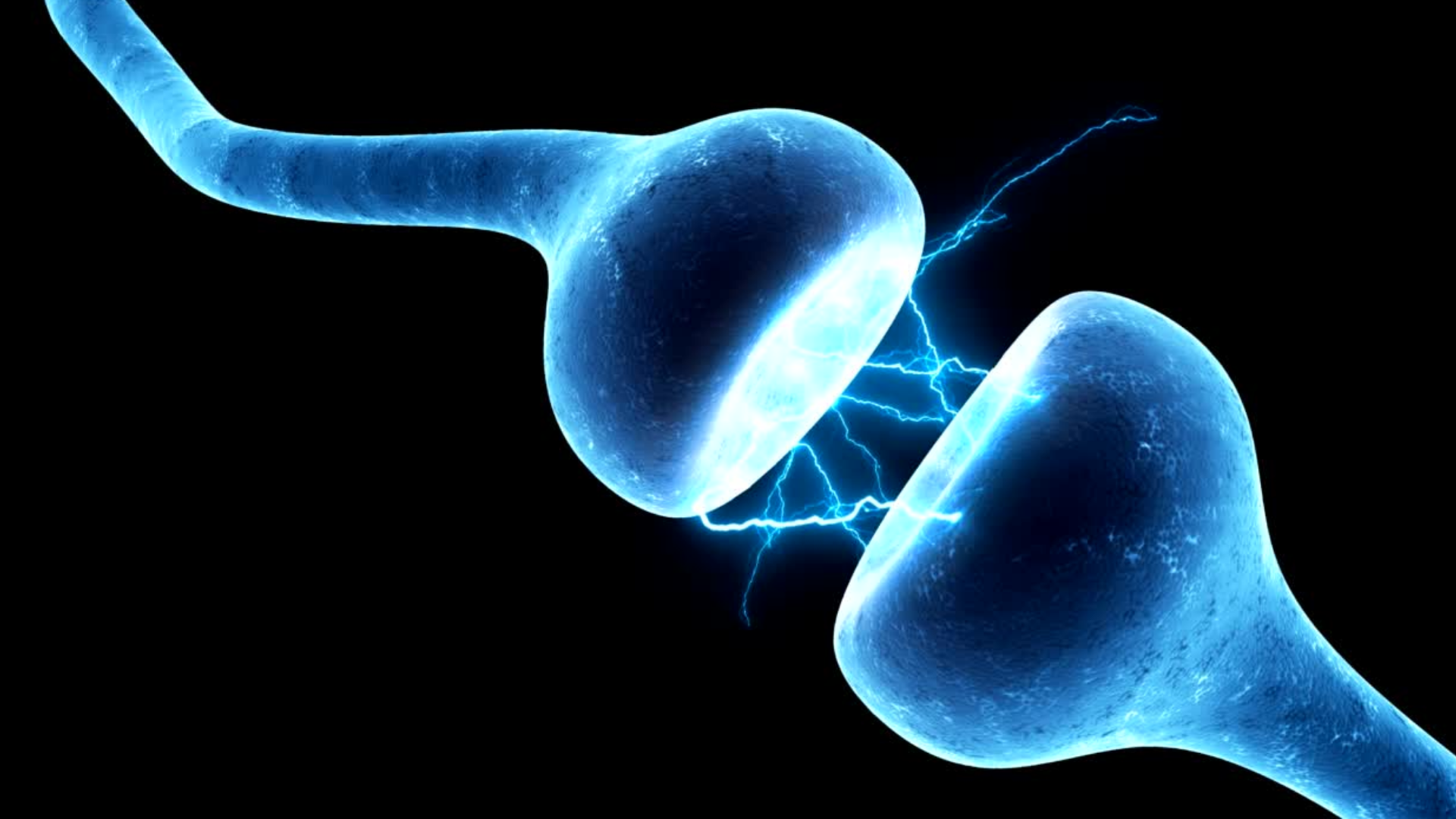 PLEASE READ BEFORE PROCEEDING 