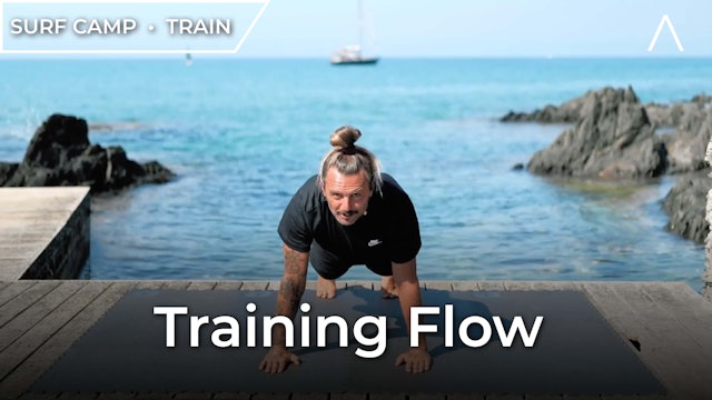 SURF: Primo Training Flow