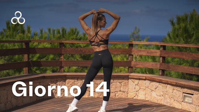 Cooming Soon - Giorno 14 