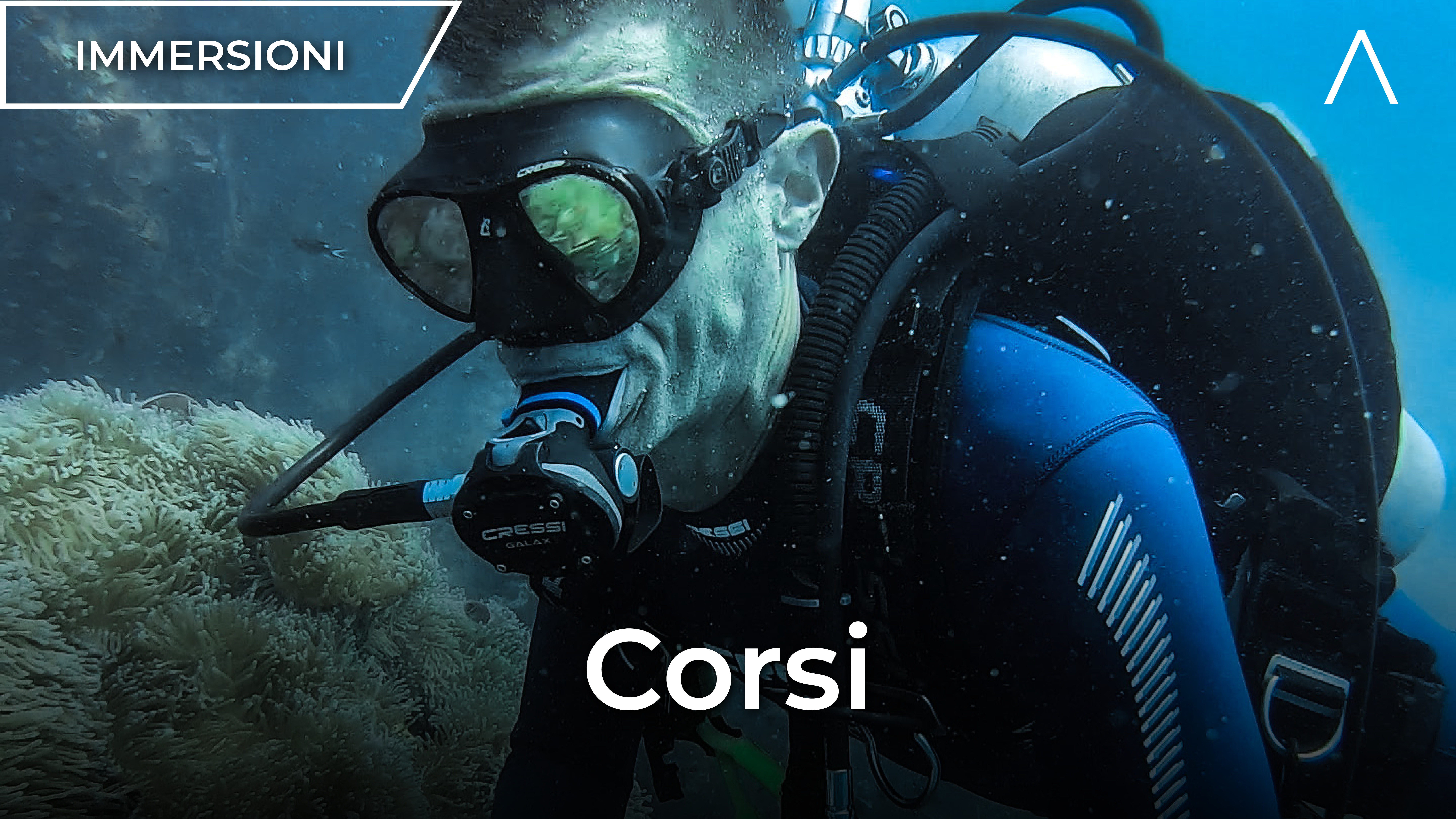 Quali sono i diversi corsi che si possono fare per imparare?