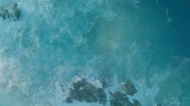 Upper Body Core Focus (con manubri)