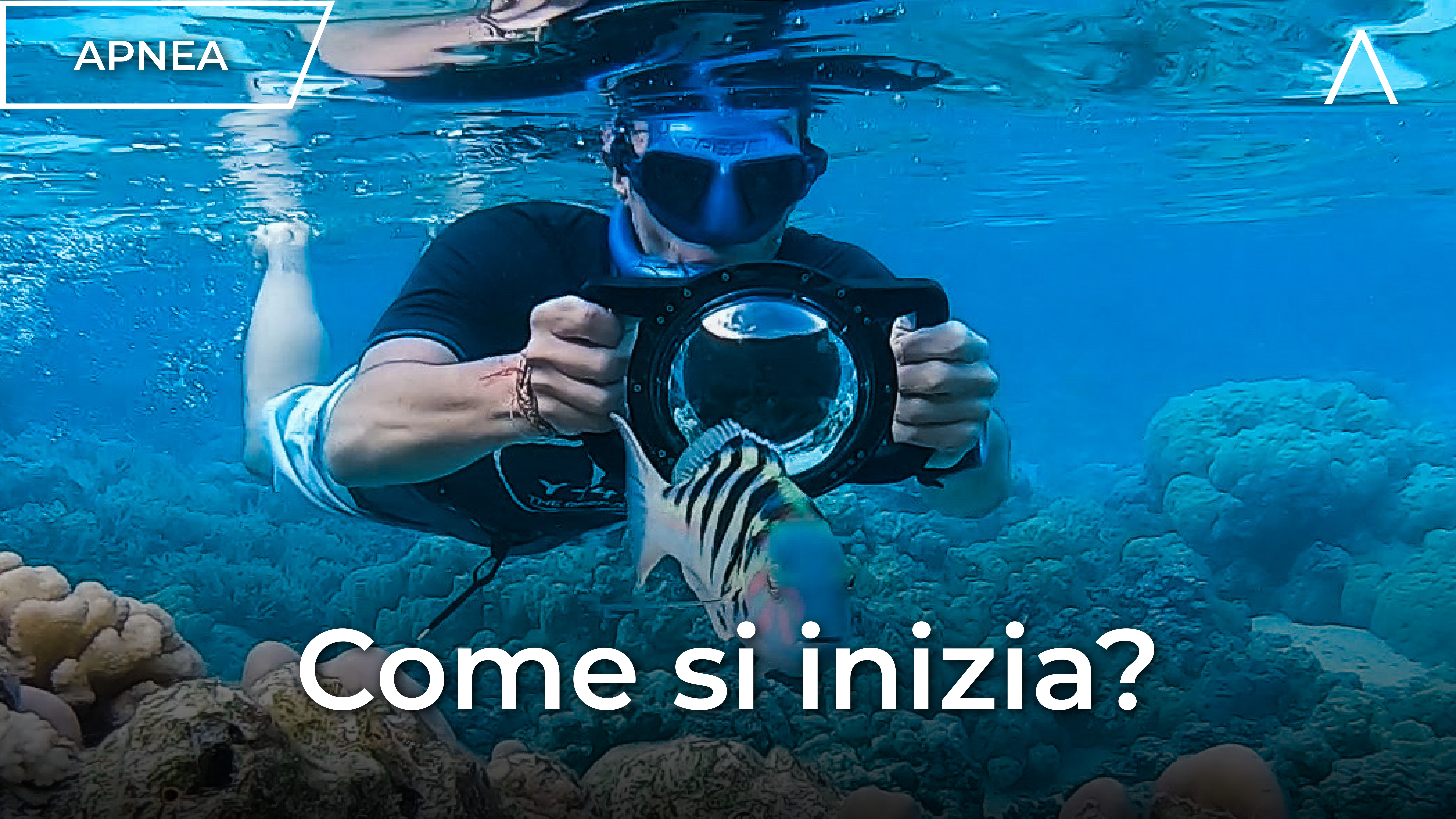 Qual è il modo migliore per iniziare?