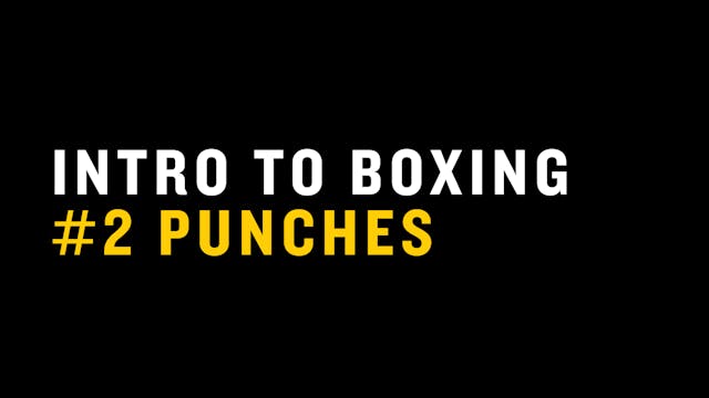 Punch Basics