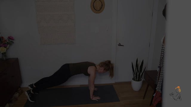 PLANK SHOULDER TAP DEMO