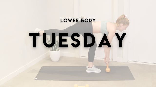 LOWER BODY!
