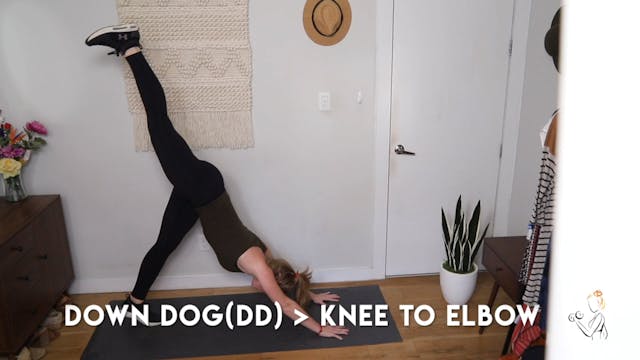 DOWN DOG KNEE TO ELBOW