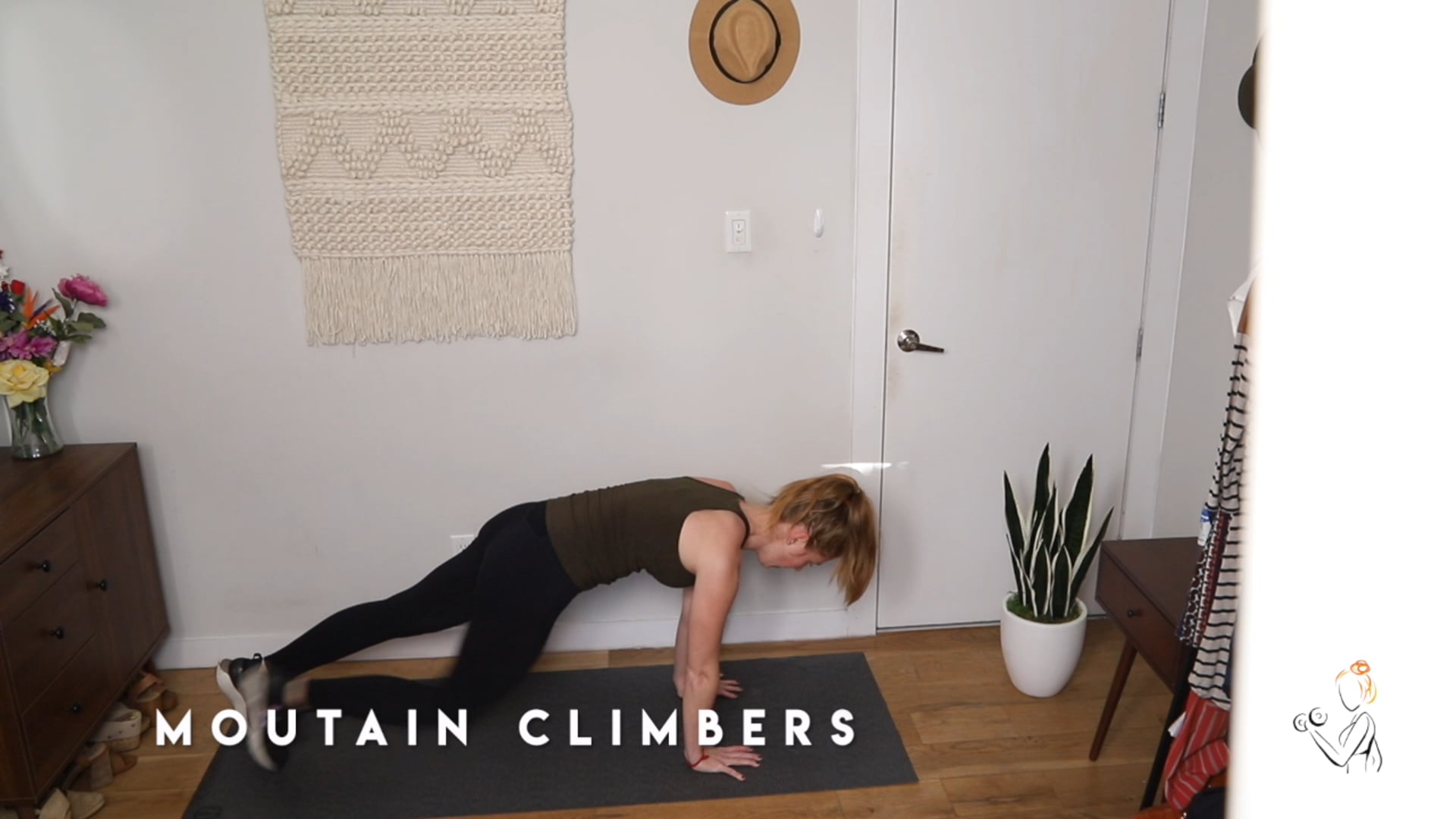 MOUNTAIN CLIMBERS DEMO