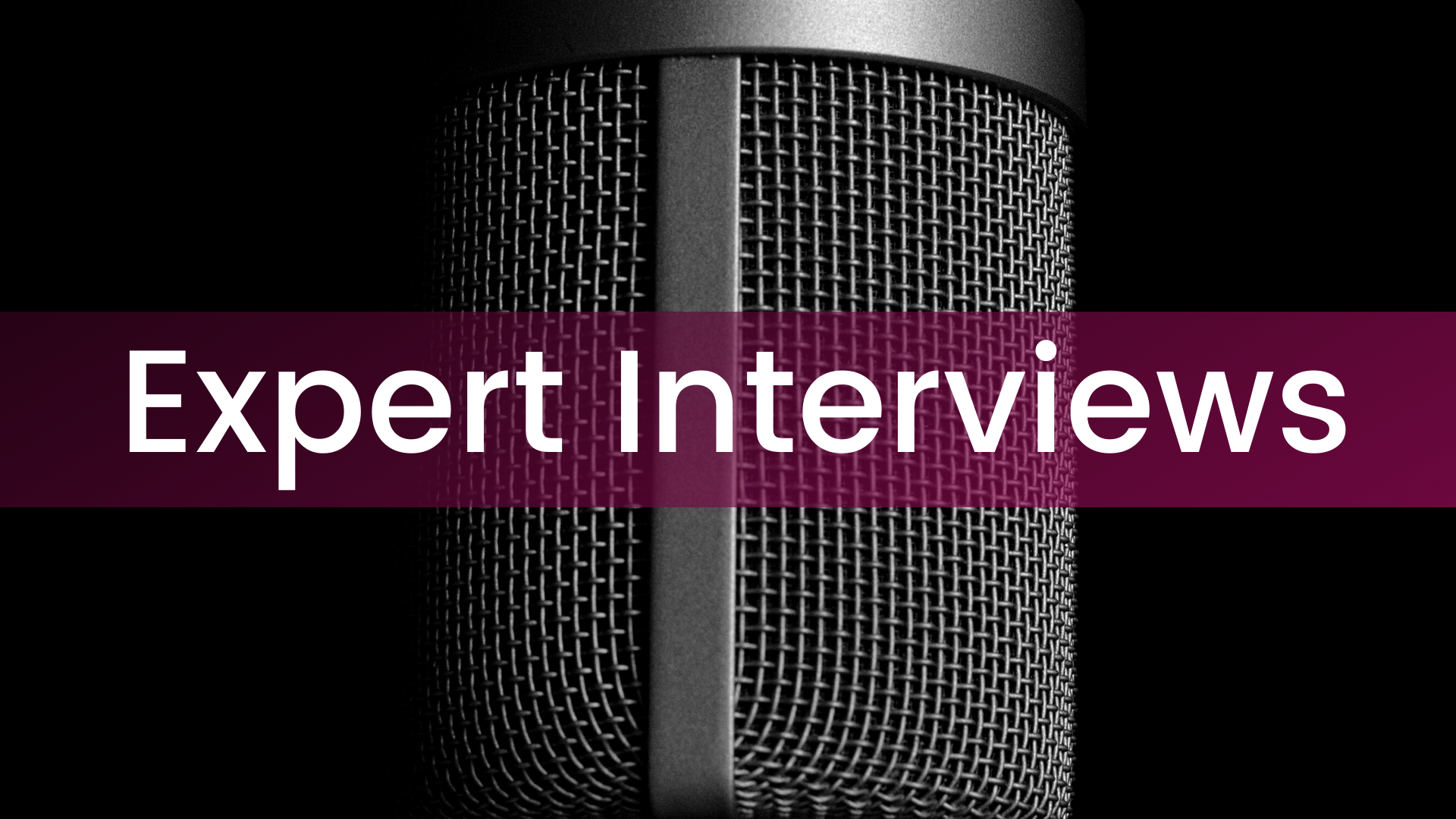 Expert Interviews