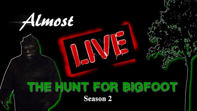 Almost Live: The Hunt For Bigfoot