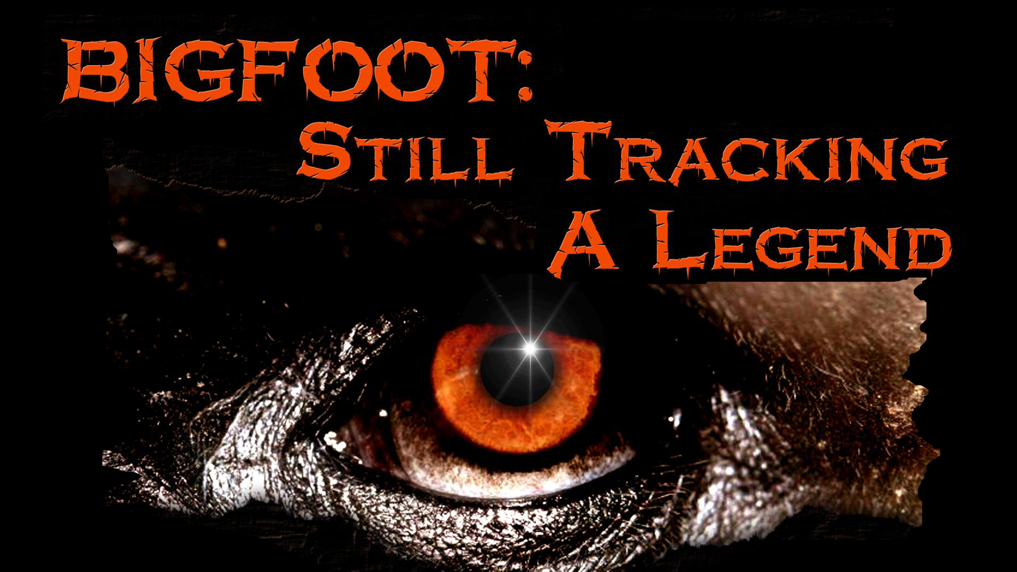 Bigfoot: Still Tracking A Legend