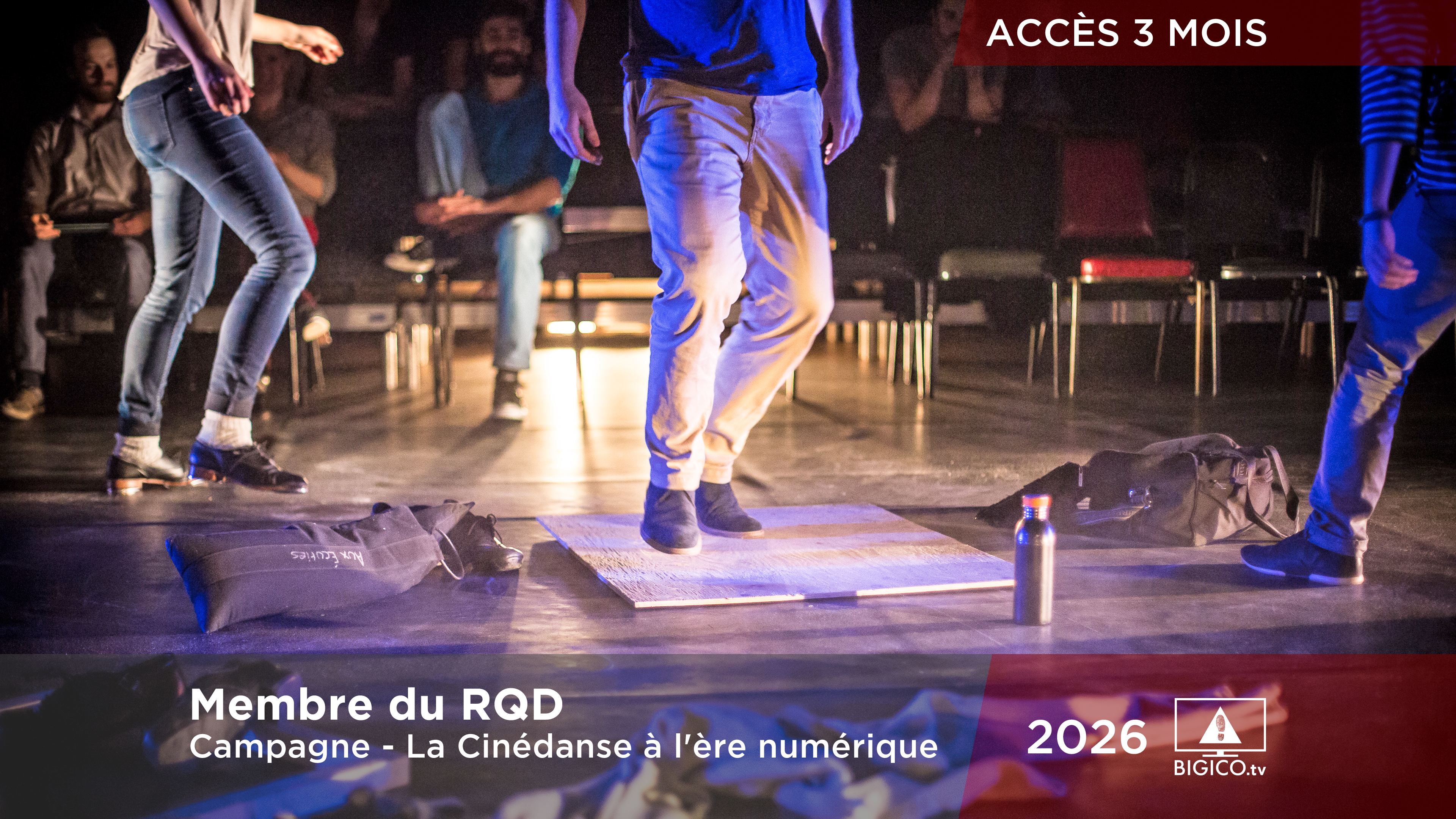 Membre du RQD - La Cinédanse à l'ère numérique