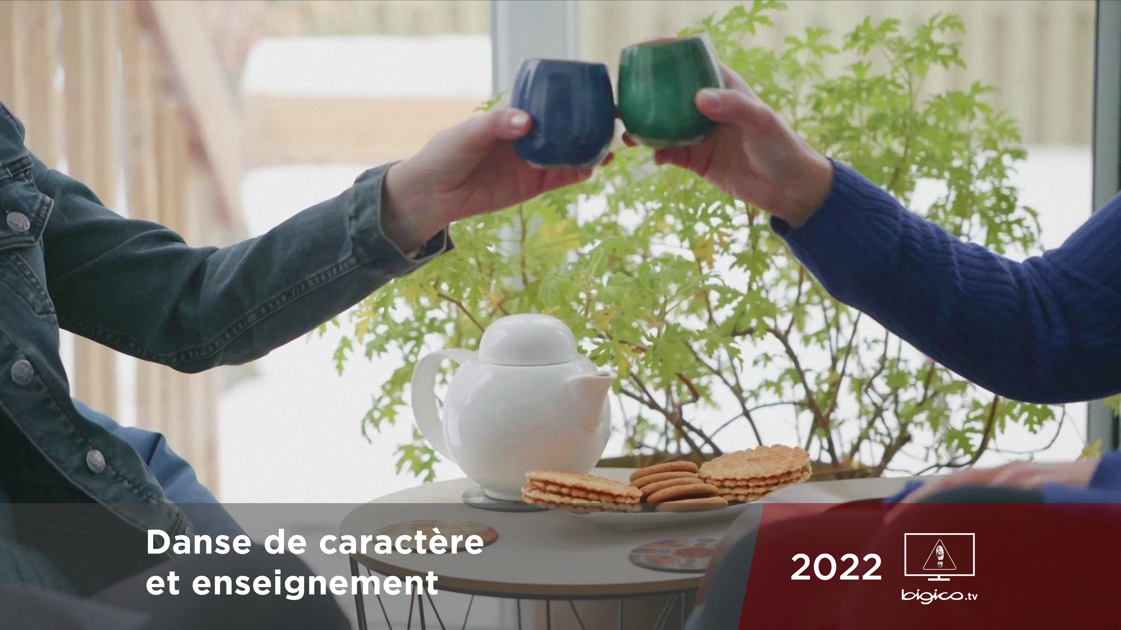 4- Danse de caractère et enseignement