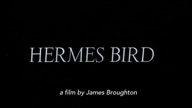 Hermes Bird (1979) 