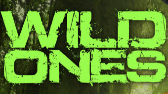 Wild Ones