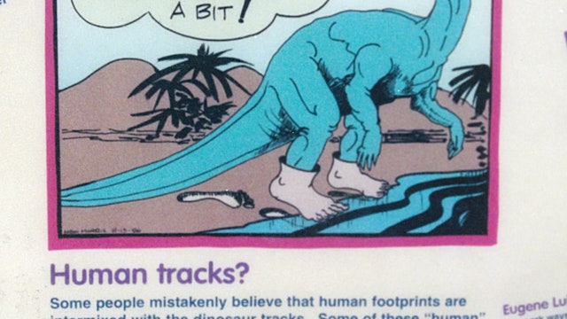 Lesson 8: Did dinosaurs & humans live together?