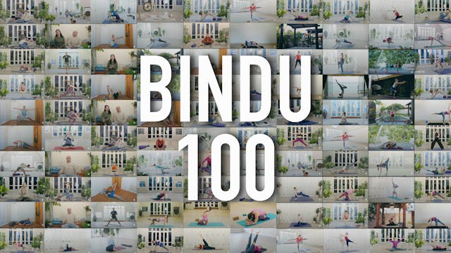 BINDU 100 / 149€