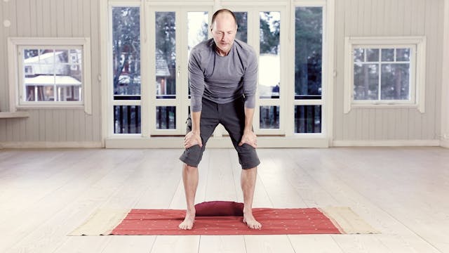 Lyhyt perusharjoitus / Olennainen pranayama / Sami Mälkiä (7)  / 20 min.