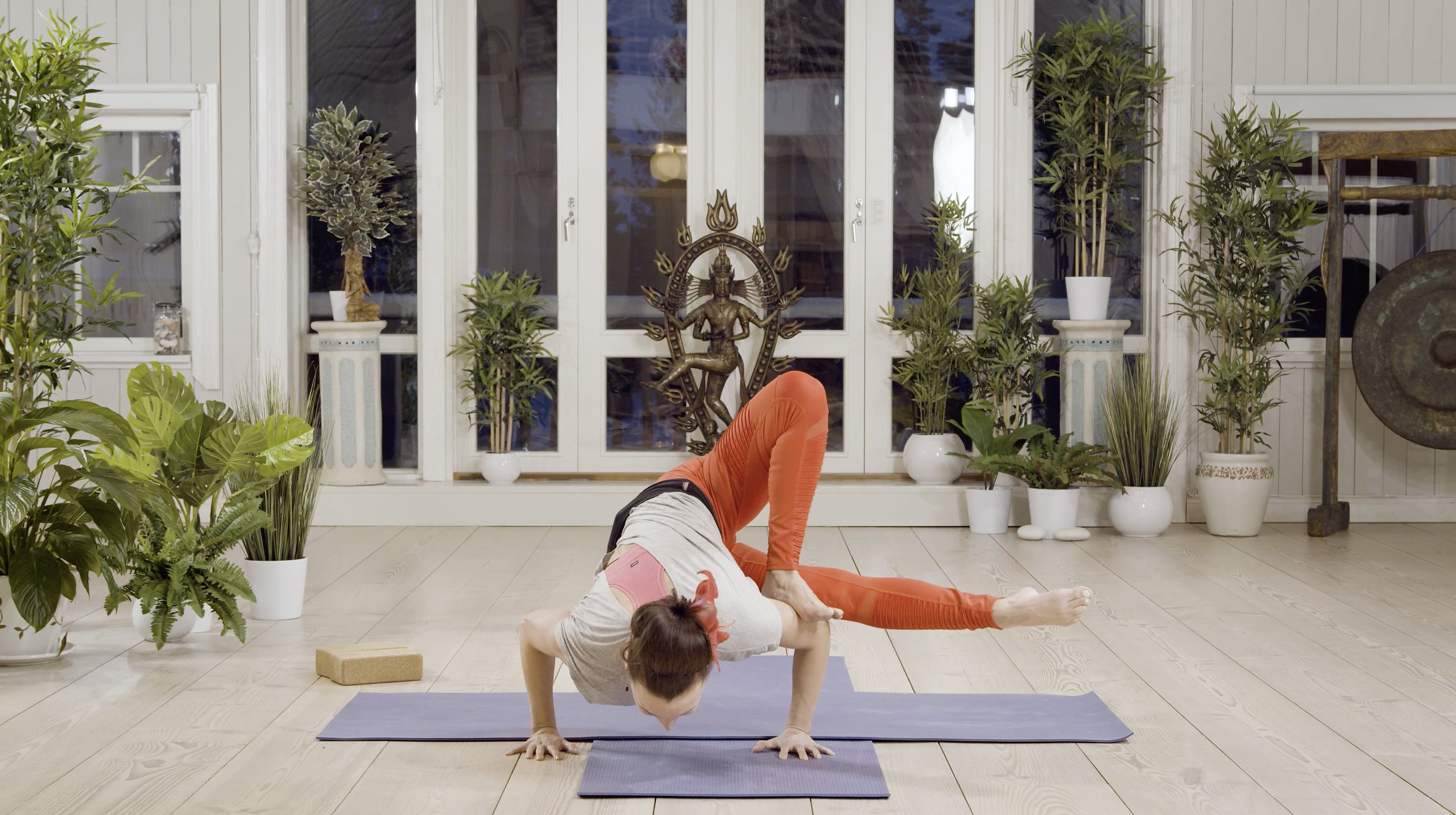 Mia Jokiniva / Indran verkko / 70 min. / testitunti