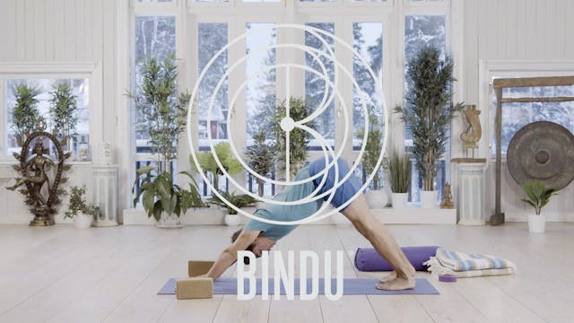 Bindu Onlinen joogaesittely minuutissa