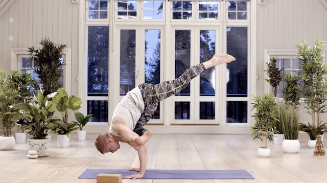 Lintujen bongausta / Jari Karppinen / 45 min.