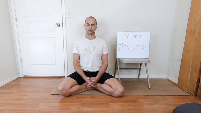 Viloma pranayama / Elia Nikolaev / 20 min.