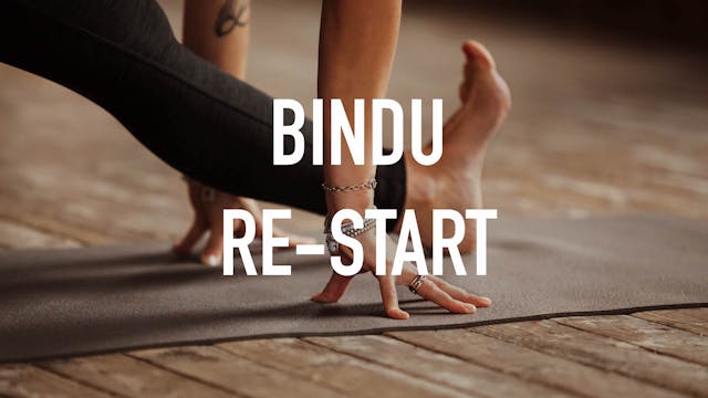 Bindu®  RE-START / 30 pv / 49€