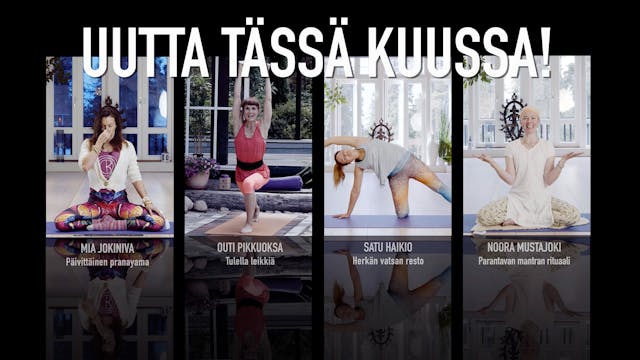 UUTTA TÄSSÄ KUUSSA / HELMIKUU