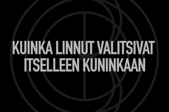 Kuinka linnut valitsivat itselleen ku...