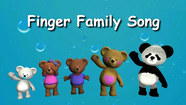 Teddy Bear Finger Family Song | BingBangBoo