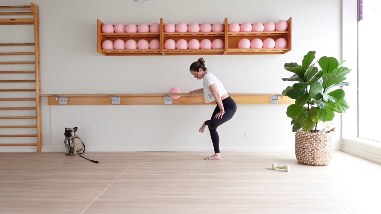 30 MINUTE BARRE (with a Frenchie cameo)