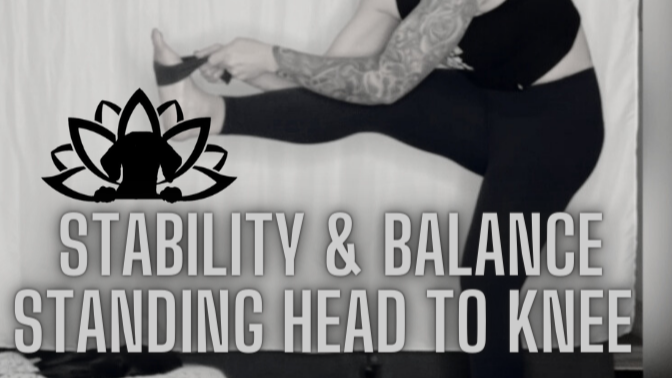 Stability & Balance - Standing Head to Knee
