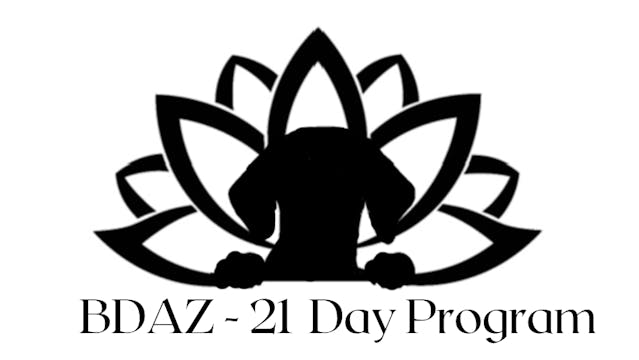 BDAZ 21 Day Program