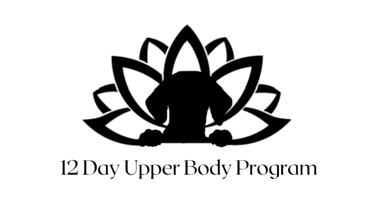 12 Day Upper Body Program