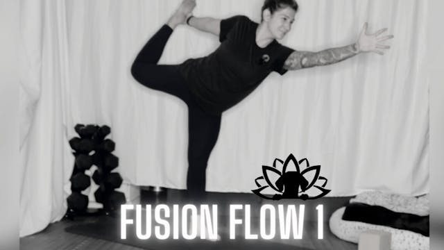 Day 1 - Fusion Flow