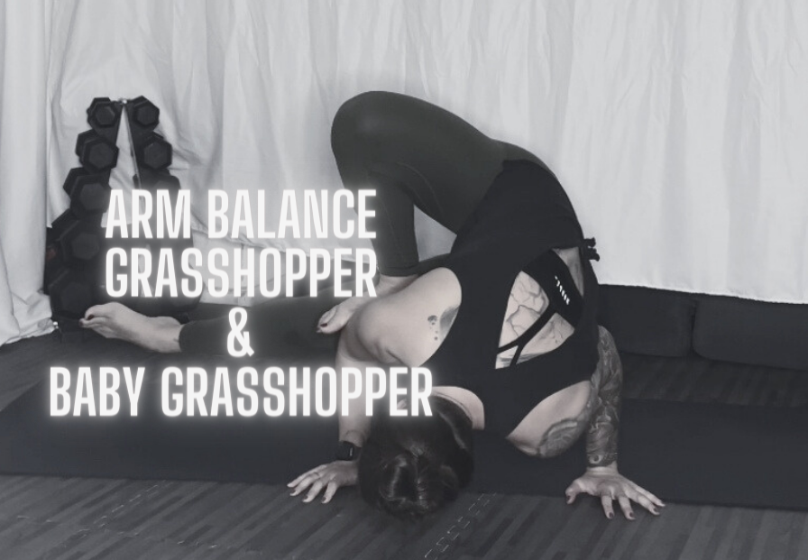 Arm Balance - Grasshopper & Baby Grasshopper