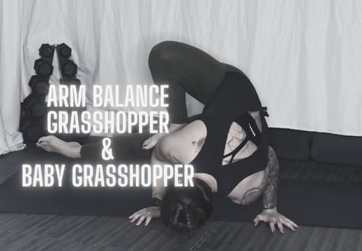 Arm Balance - Grasshopper & Baby Gras...