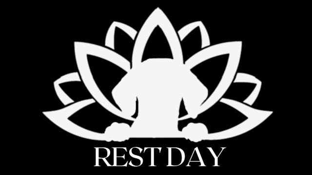 Day 4 - Rest Day