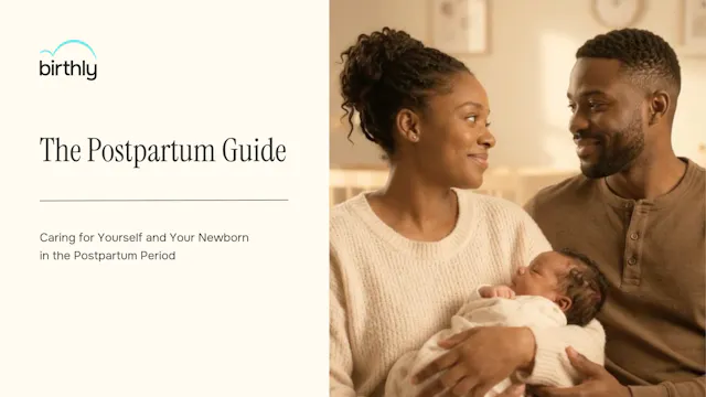 The Postpartum Guide by Birthly - Video Overview