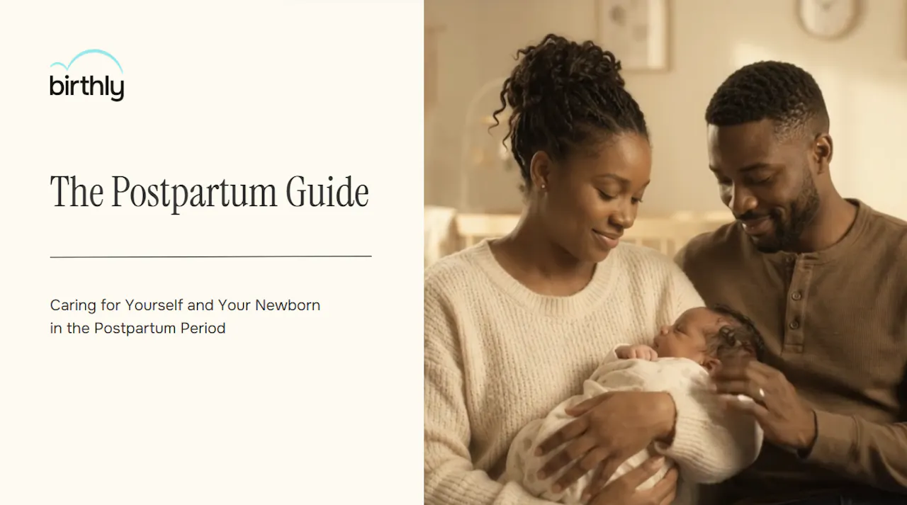 The Postpartum Guide by Birthly - Video Overview