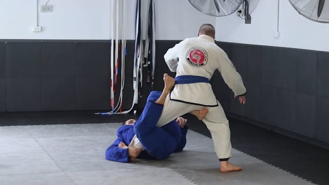 CONTROLLING THE LEGS - SINGLE X GUARD...