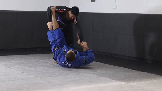 GRIPPING THE UPPER BODY - SPIDER GUAR...