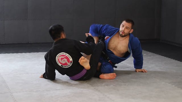 GRIPPING THE UPPER BODY - SPIDER GUAR...